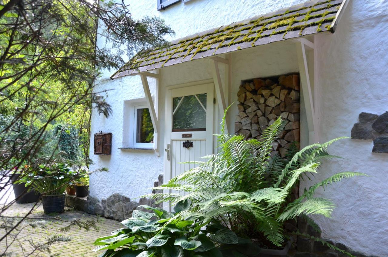 Birgits Landhaus Willingen วิลลิงเงิน ภายนอก รูปภาพ
