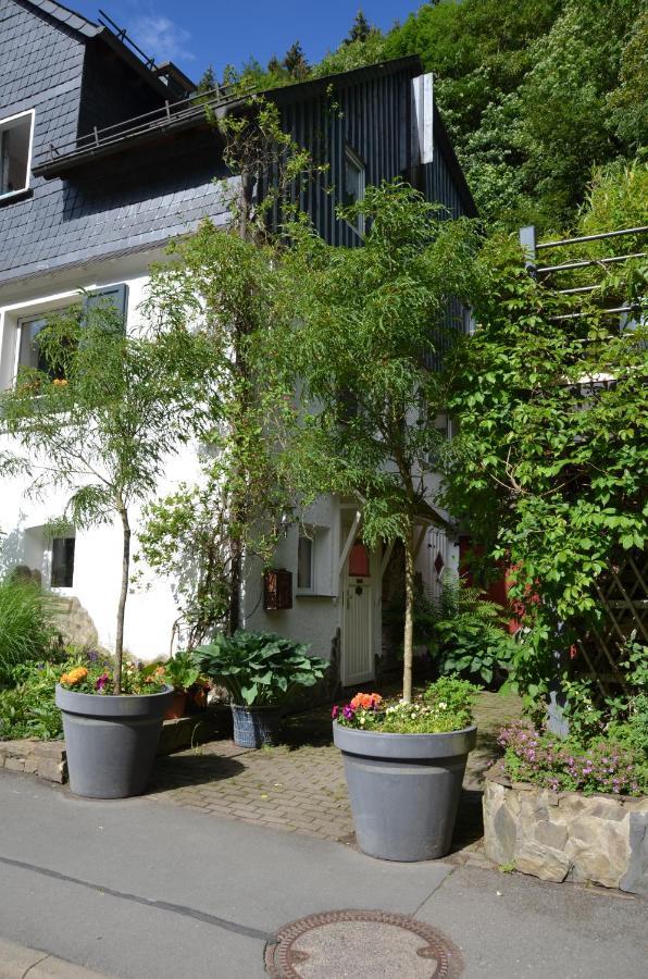 Birgits Landhaus Willingen วิลลิงเงิน ภายนอก รูปภาพ