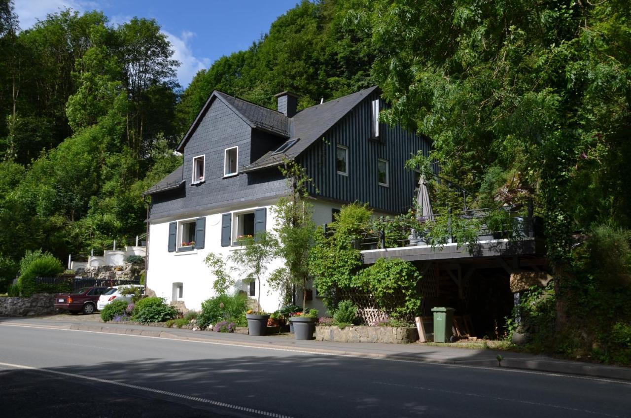 Birgits Landhaus Willingen วิลลิงเงิน ภายนอก รูปภาพ