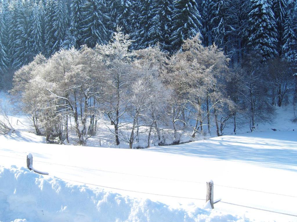Birgits Landhaus Willingen วิลลิงเงิน ภายนอก รูปภาพ